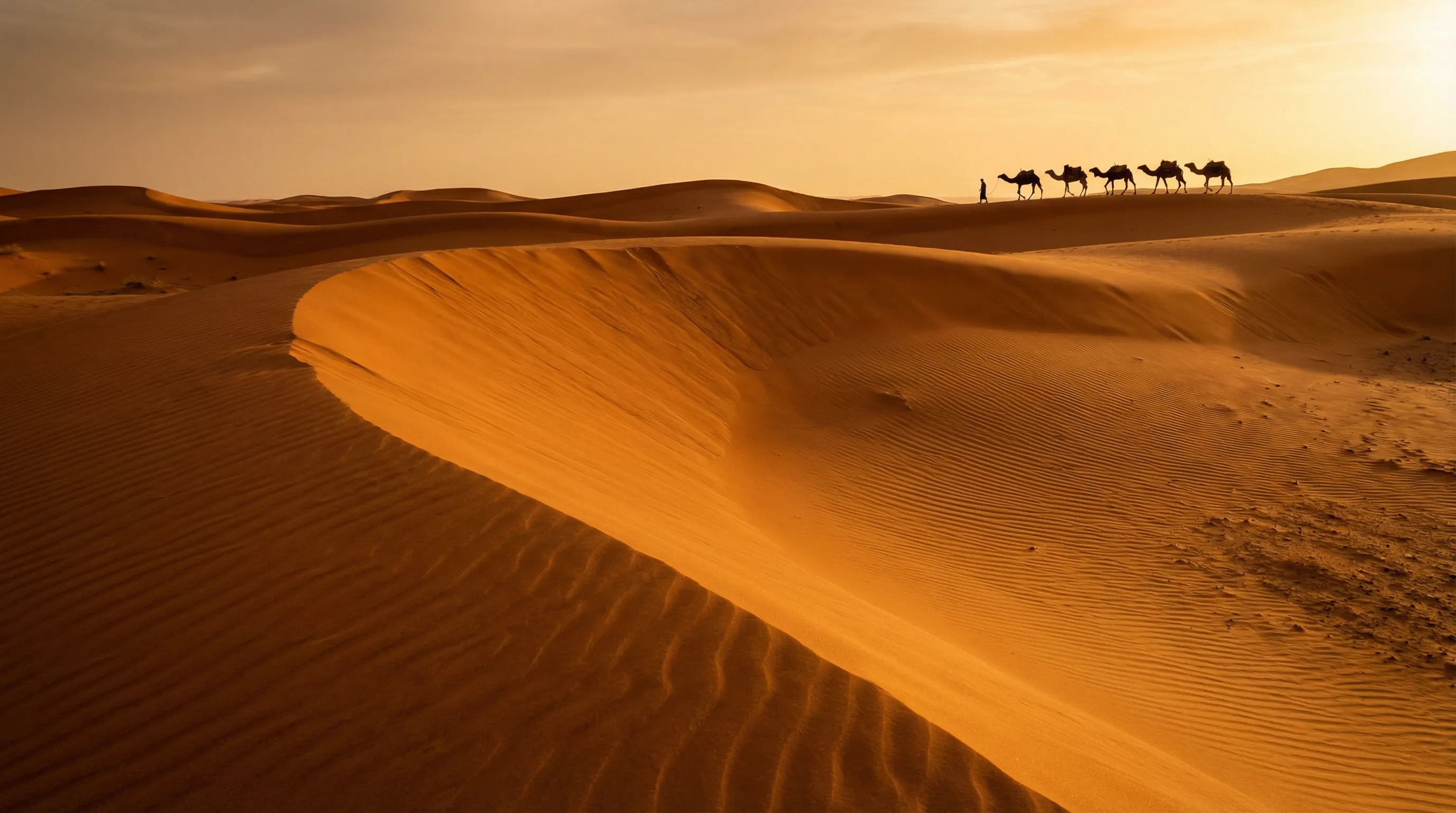 Африканский контраст